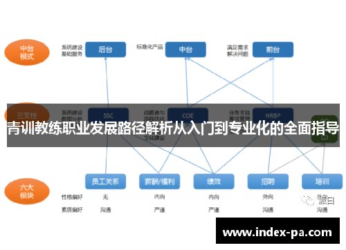 青训教练职业发展路径解析从入门到专业化的全面指导 青训教练职业发展路径解析从入门到专业化的全面指导
