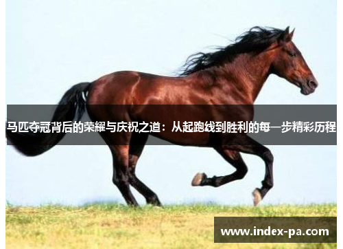 马匹夺冠背后的荣耀与庆祝之道:从起跑线到胜利的每一步精彩历程 马匹夺冠背后的荣耀与庆祝之道:从起跑线到胜利的每一步精彩历程