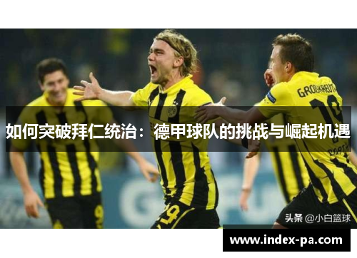 如何突破拜仁统治：德甲球队的挑战与崛起机遇