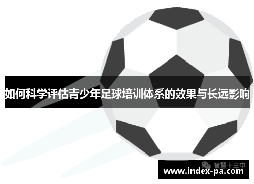 如何科学评估青少年足球培训体系的效果与长远影响