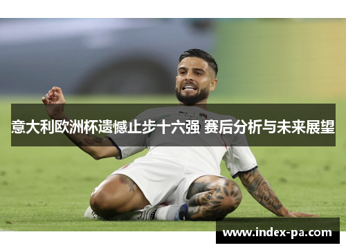 意大利欧洲杯遗憾止步十六强 赛后分析与未来展望 意大利欧洲杯遗憾止步十六强 赛后分析与未来展望
